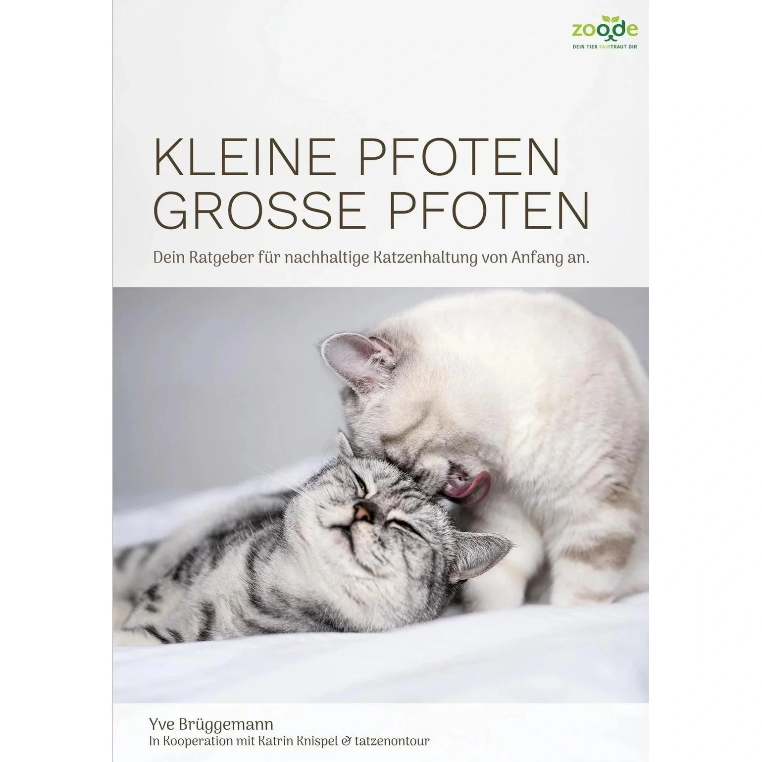 Vorschaubild 1