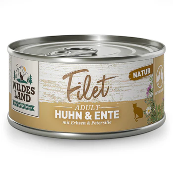 Katze Angebot